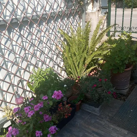 Basic Appartement Kalamata